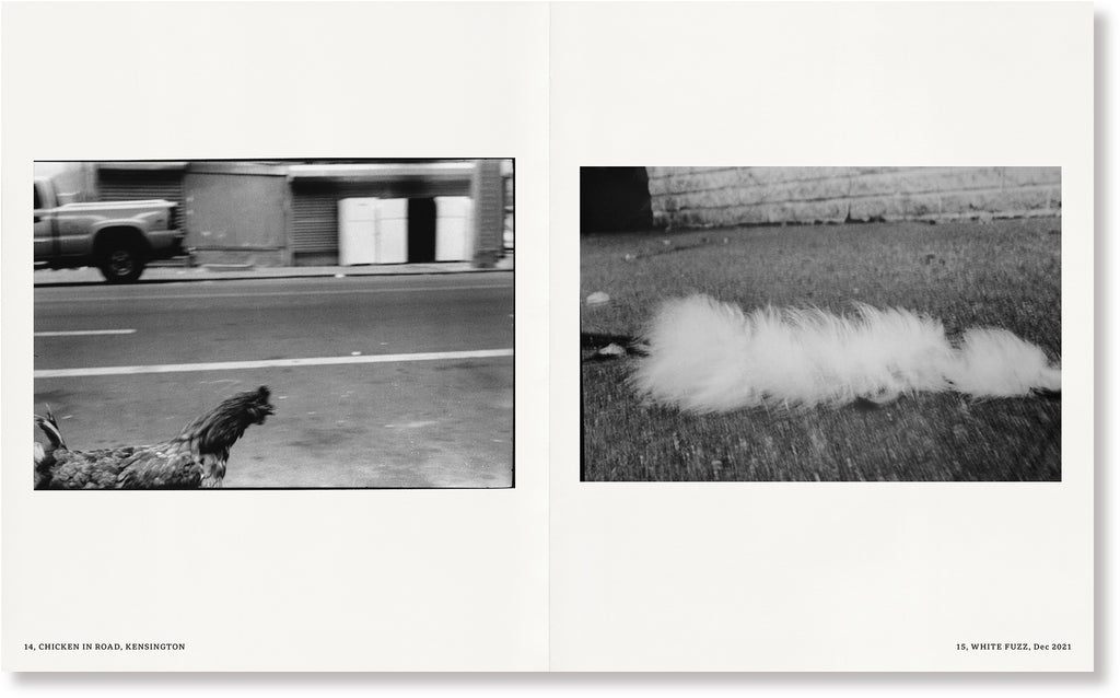 Groundworks Mark Cohen – SUPER LABO