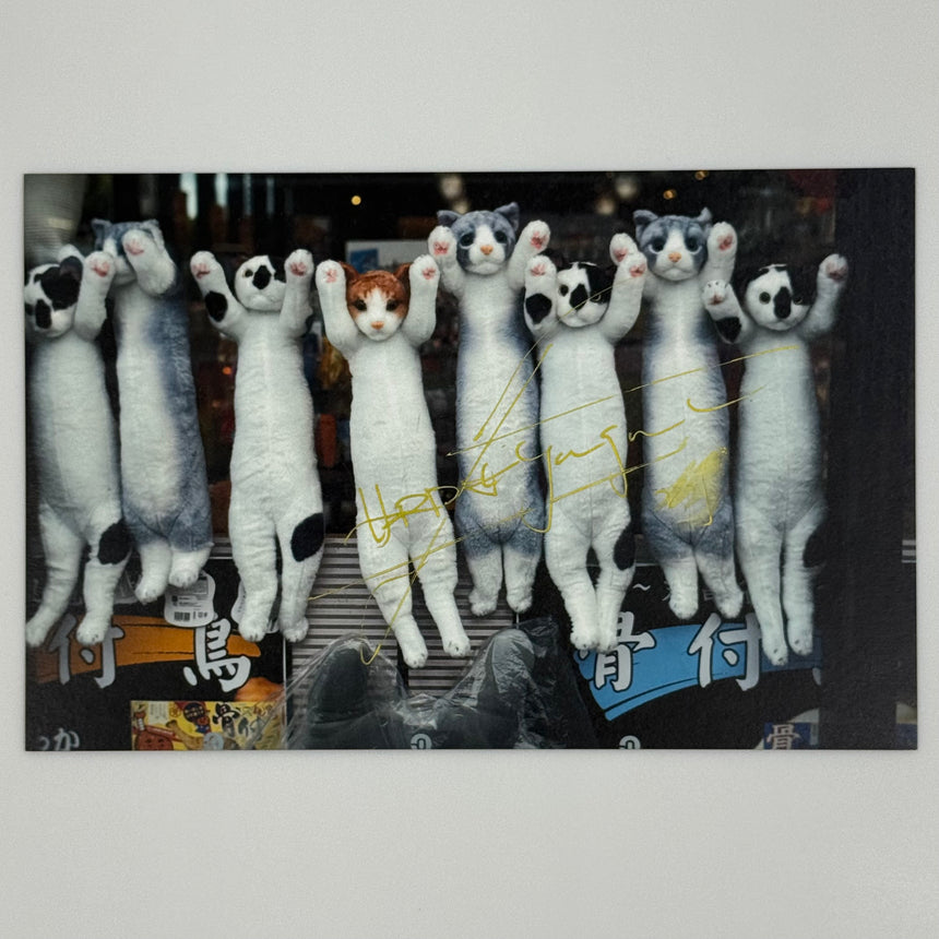 Somewhere Sometimes in Japan<br>Photo-card<br>ハービー・山口<br>(Herbie Yamaguchi)