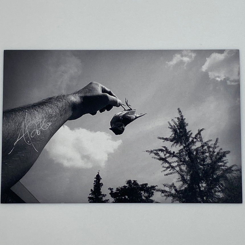 The Urge of Living<br>Photo-card<br>Alberto Polo