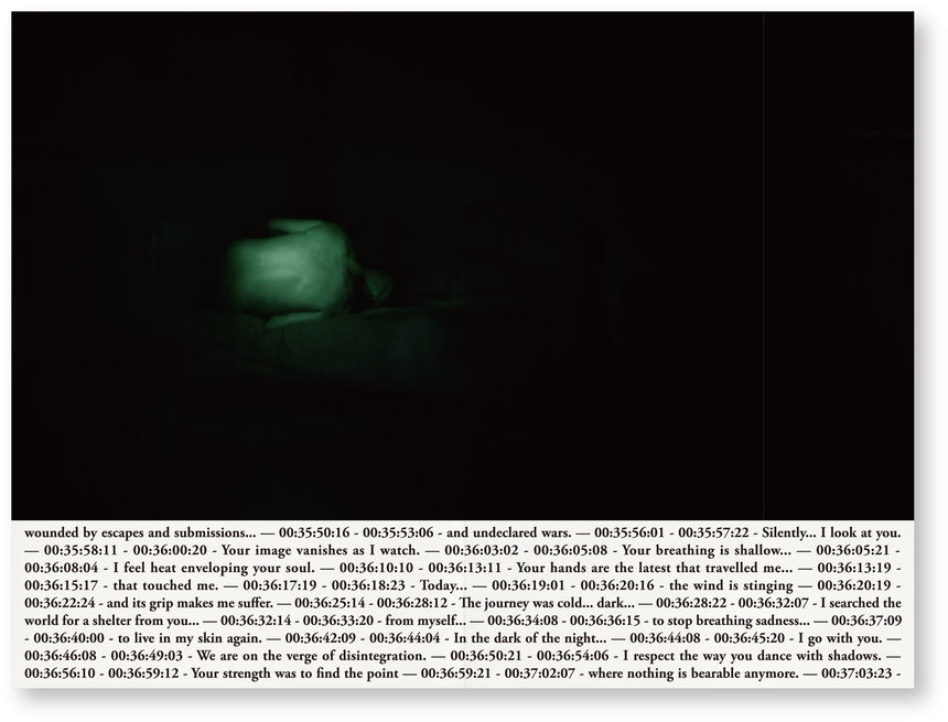 WHITE NOISE<br />Antoine d'Agata