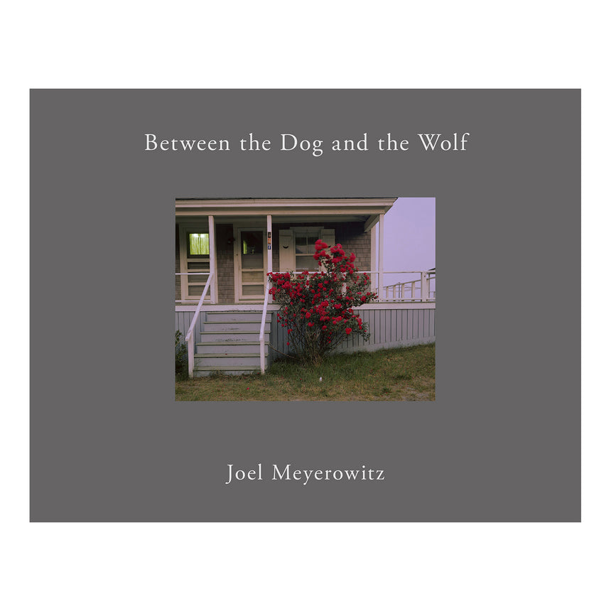 Between the Dog and the Wolf (2nd edition)<br />Joel Meyerowitz