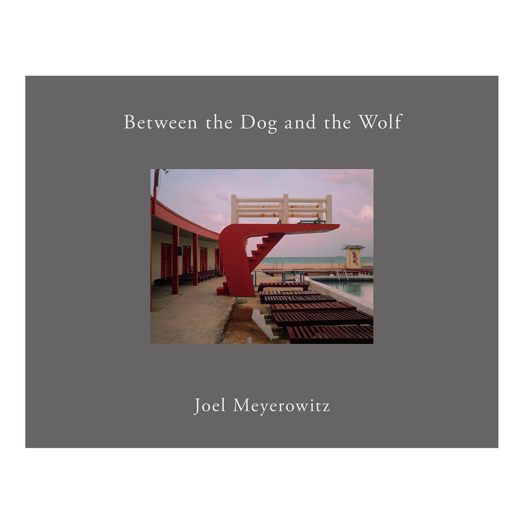 Joel Meyerowitz Between the Dog and the… BetweentheDogandthWolf2nd_Cove