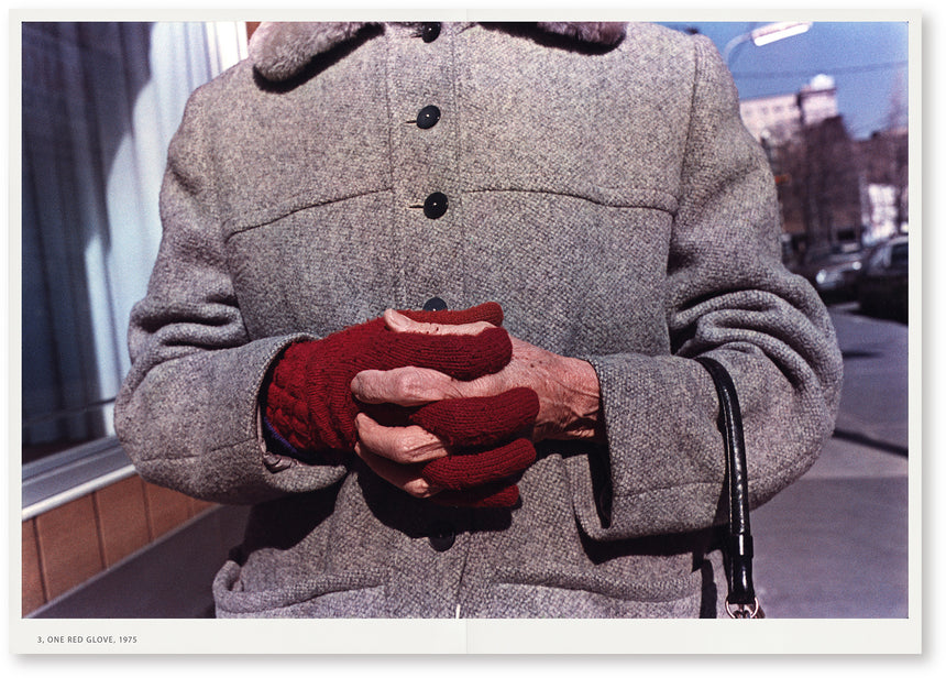 Bread in Snow<br />Mark Cohen