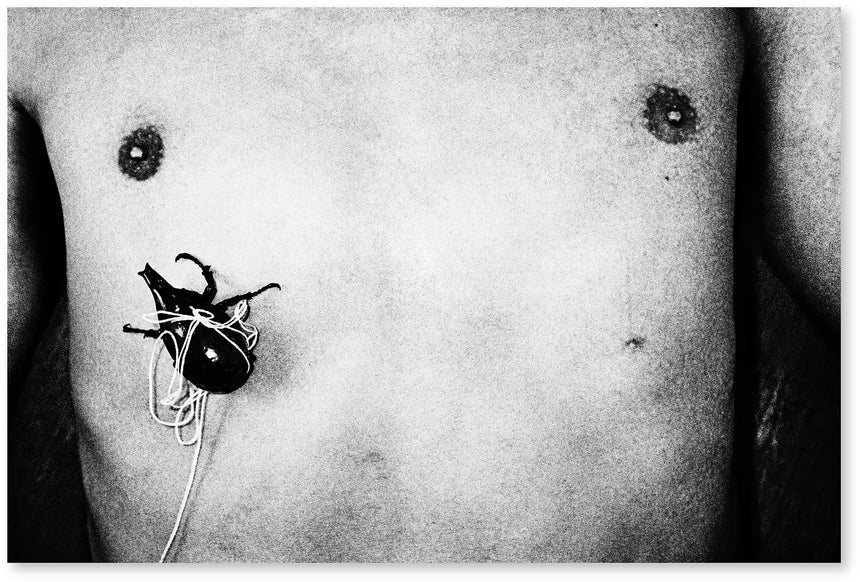 By the River of Kings<br />Jacob Aue Sobol