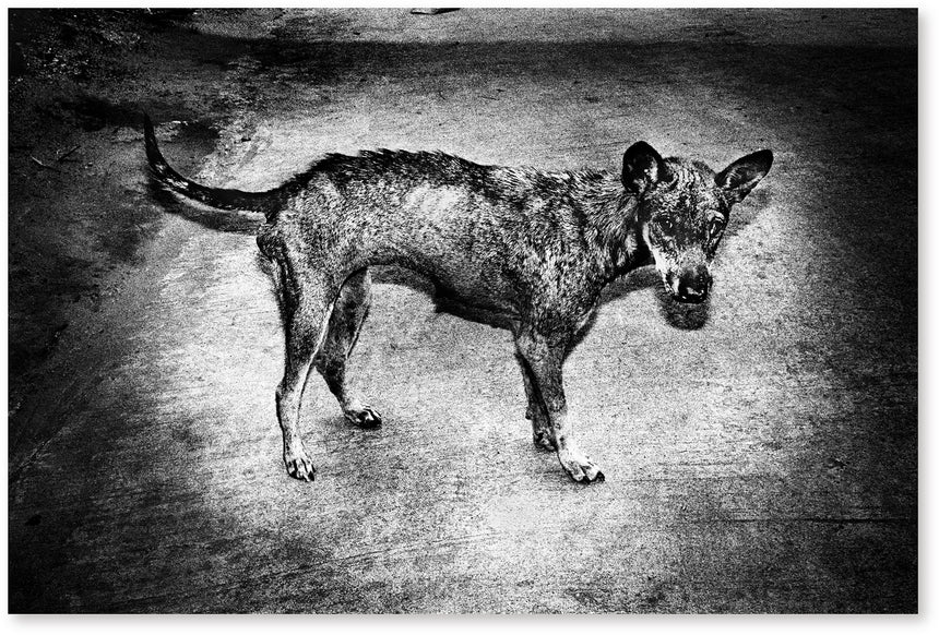 By the River of Kings<br />Jacob Aue Sobol