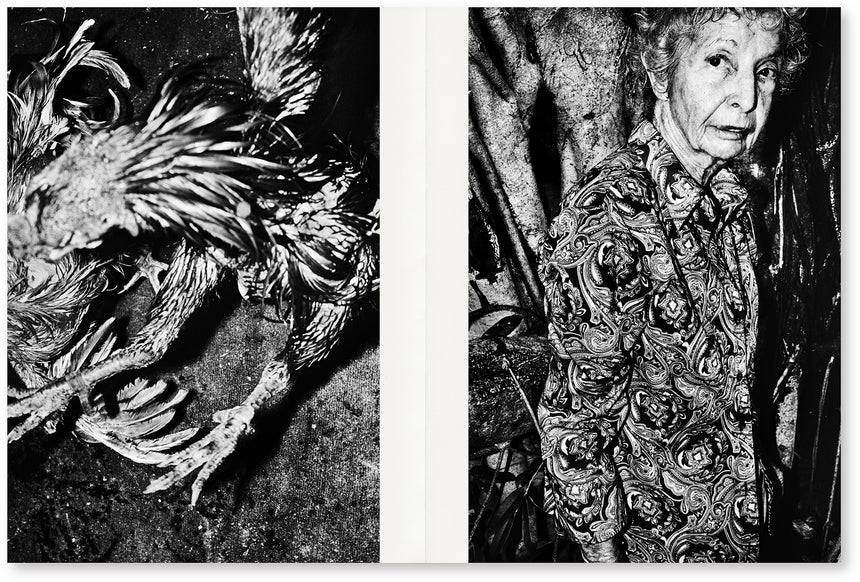 By the River of Kings<br />Jacob Aue Sobol