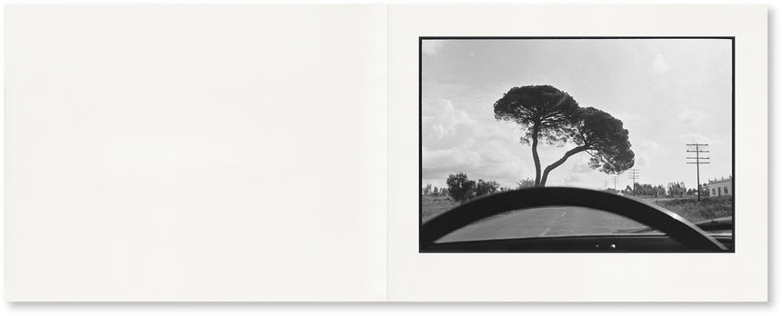 GLIMPSE<br />Joel Meyerowitz