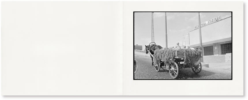 GLIMPSE<br />Joel Meyerowitz