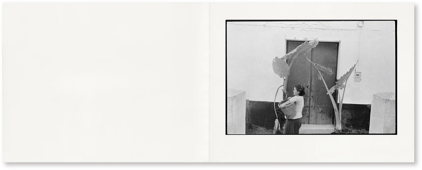 GLIMPSE<br />Joel Meyerowitz