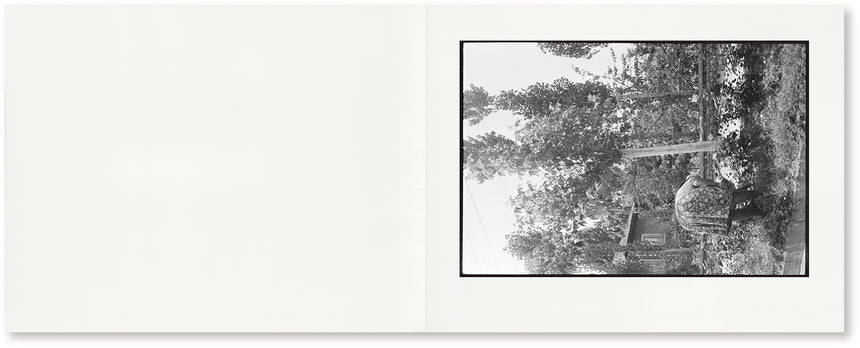 GLIMPSE<br />Joel Meyerowitz