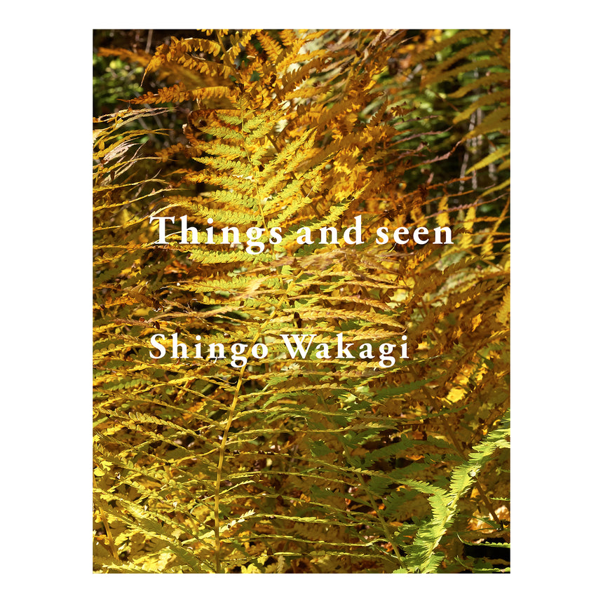 Things and seen<br />Shingo Wakagi<br />(若木信吾)