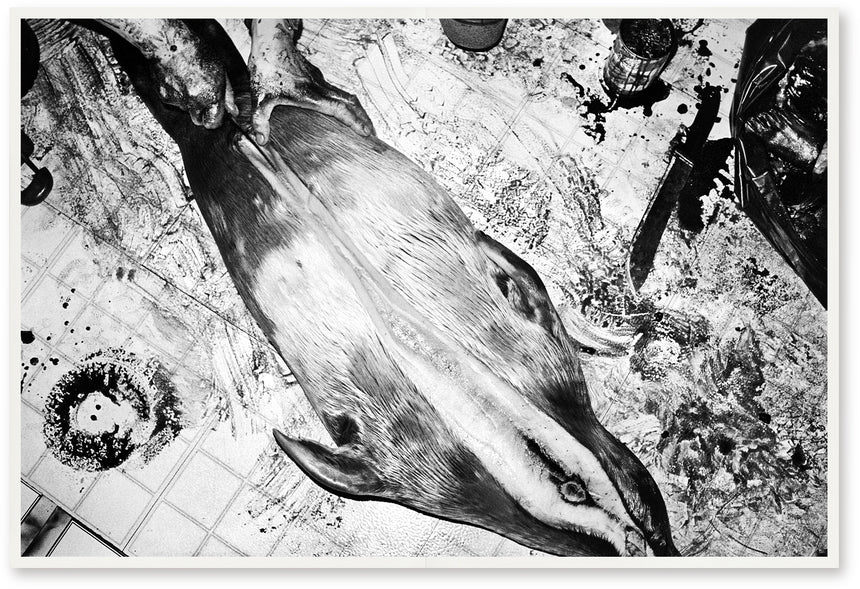 With And Without You / 2nd edition<br>Jacob Aue Sobol