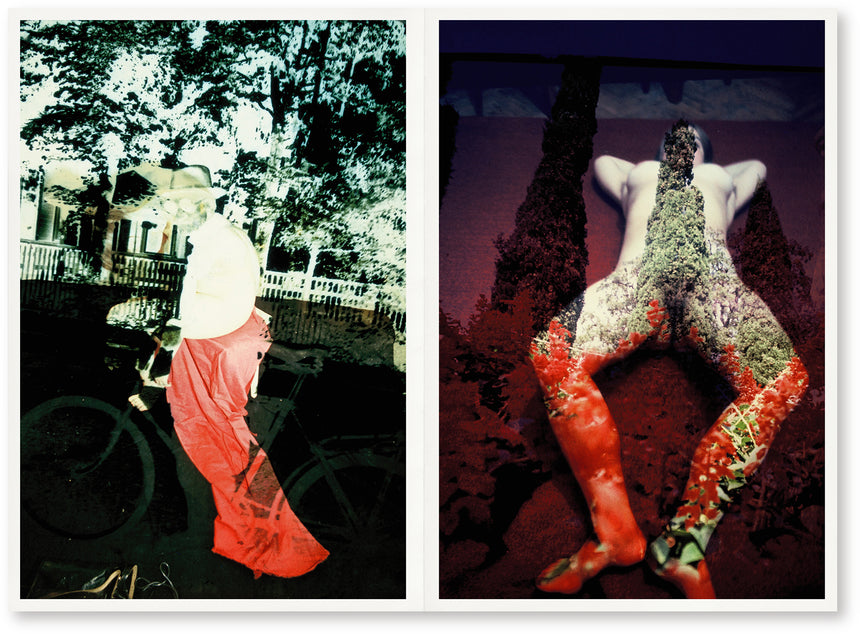 Yesterday’s Sandwich II<br>Boris Mikhailov