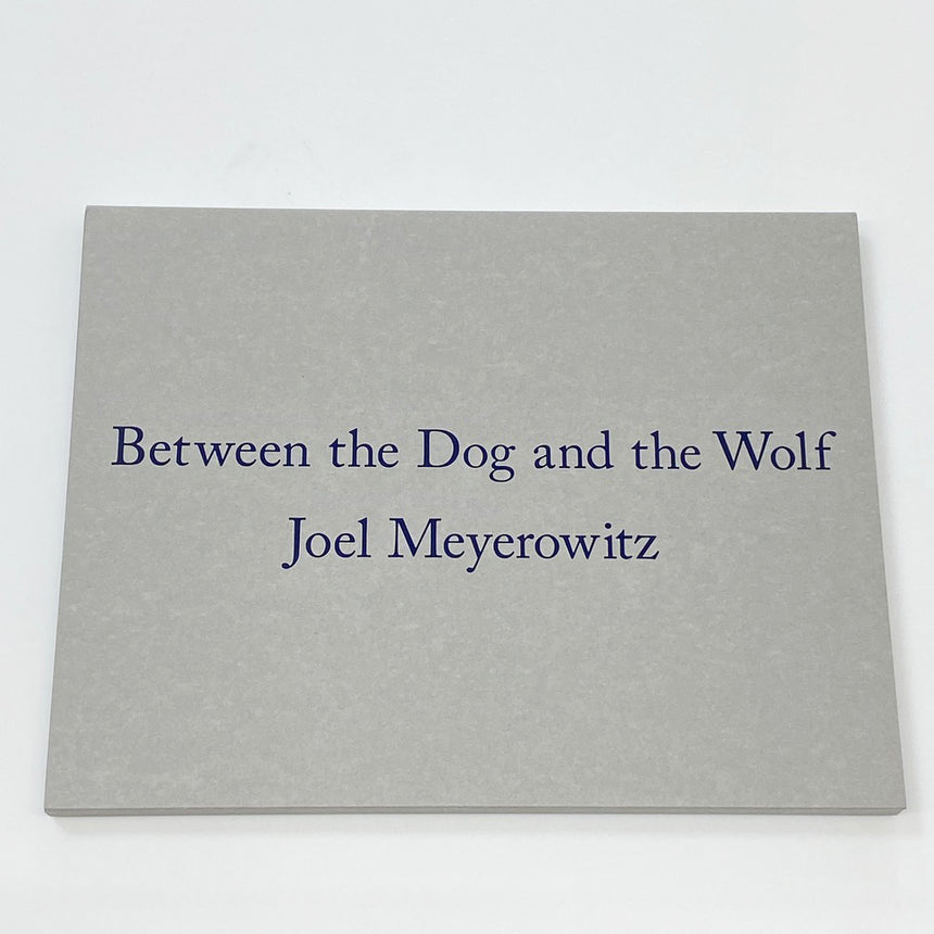 Between the Dog and the Wolf<br />Joel Meyerowitz