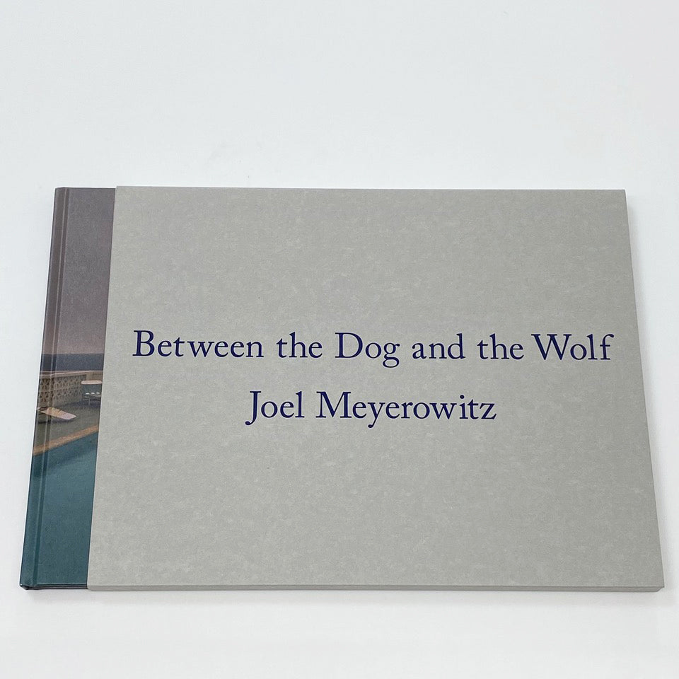 Joel Meyerowitz Between the Dog and the… Between the Dog and the Wolf - Joel Meyerowitz • Micamera