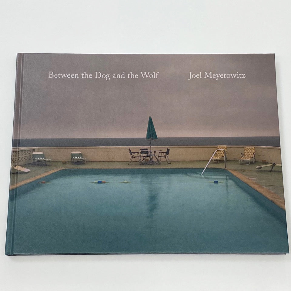 Between the Dog and the Wolf Joel Meyerowitz – SUPER LABO