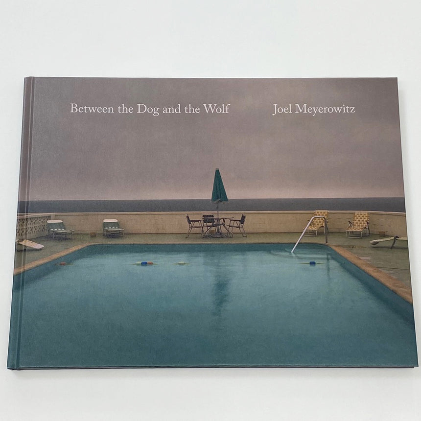 Between the Dog and the Wolf<br />Joel Meyerowitz