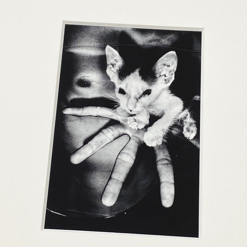 By the River of Kings<br />Special Edition<br />Jacob Aue Sobol