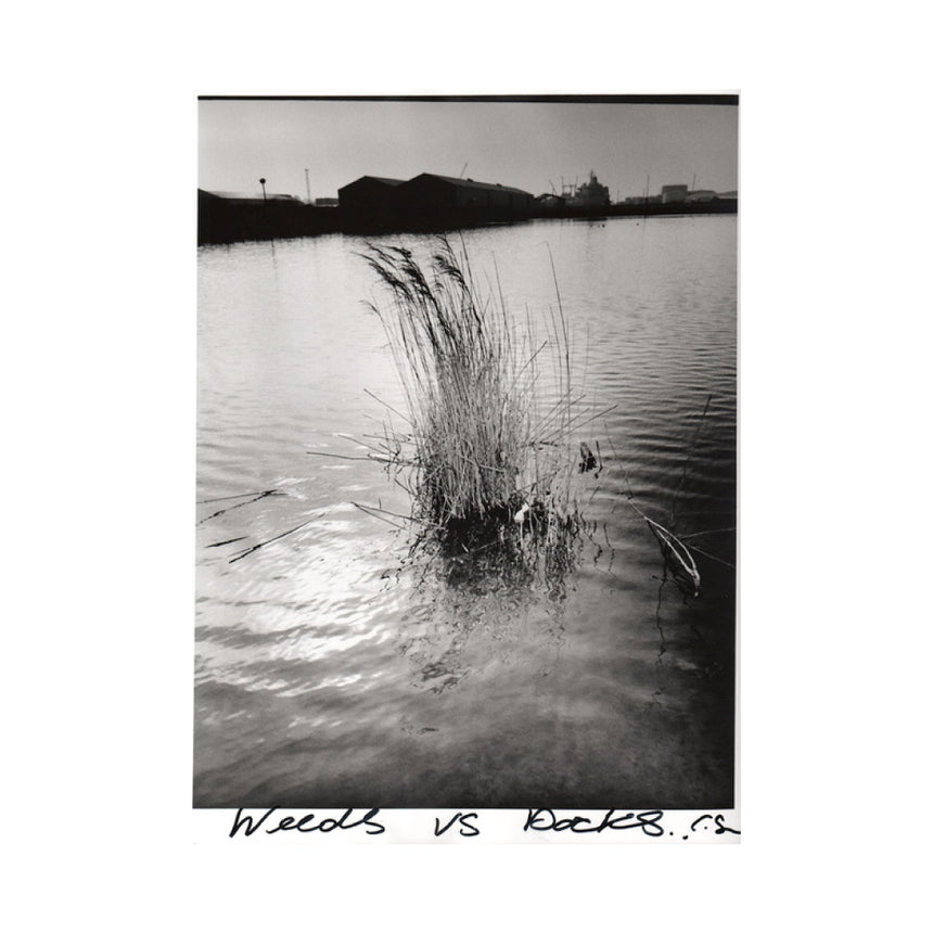 Weeds of Wallasey<br />Chris Shaw<br />weeds vs docks