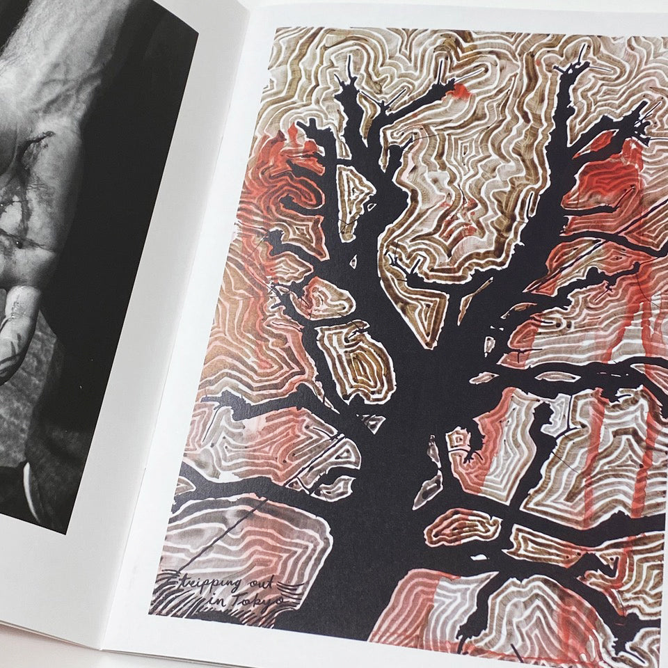 Coming to Grips : Ed Templeton