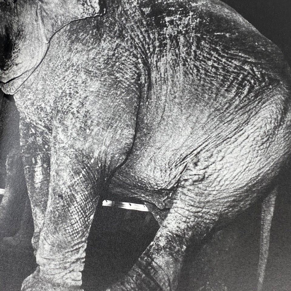 TSUGARU DAIDO MORIYAMA 森山大道 Tsugaru - 森山 大道 / Daido Moriyama