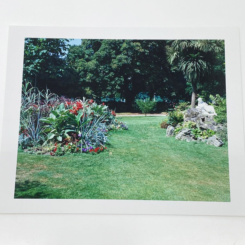 In Our Nature<br />Special Edition<br />Takashi Homma<br />(ホンマ タカシ)