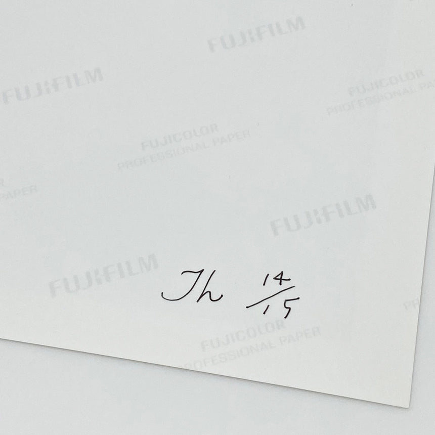 In Our Nature<br />Special Edition<br />Takashi Homma<br />(ホンマ タカシ)