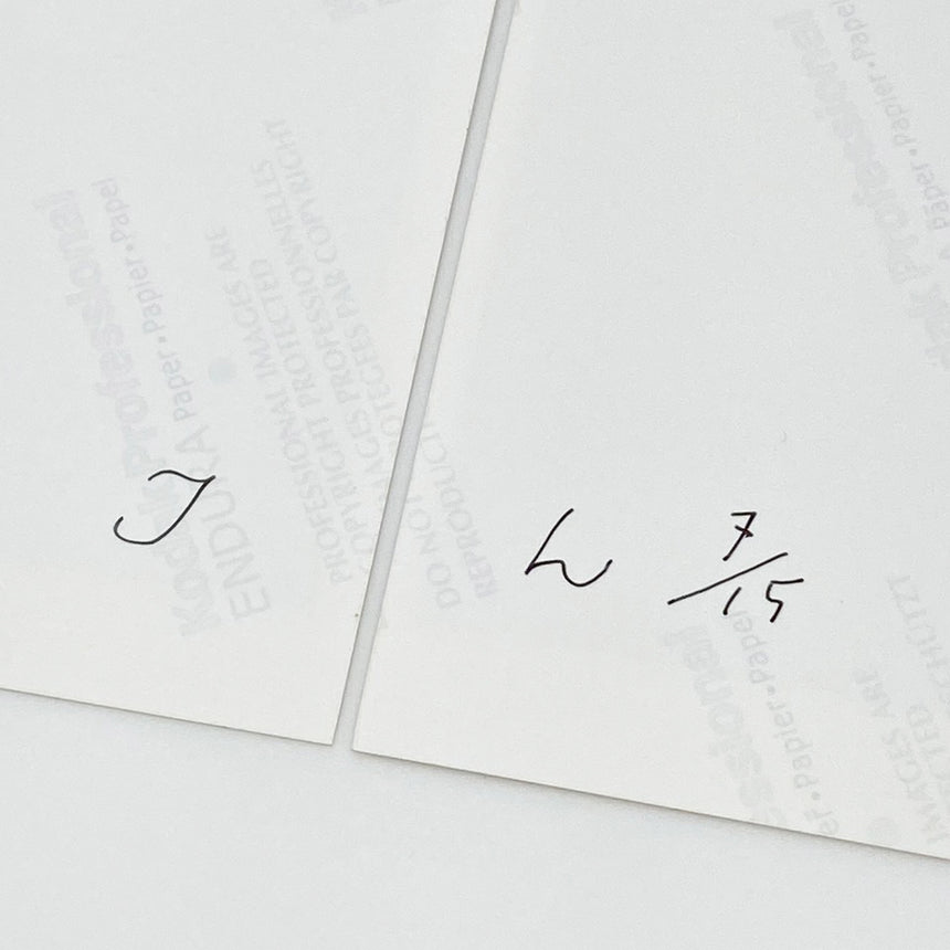 In Our Nature<br />Special Edition<br />Takashi Homma<br />(ホンマ タカシ)