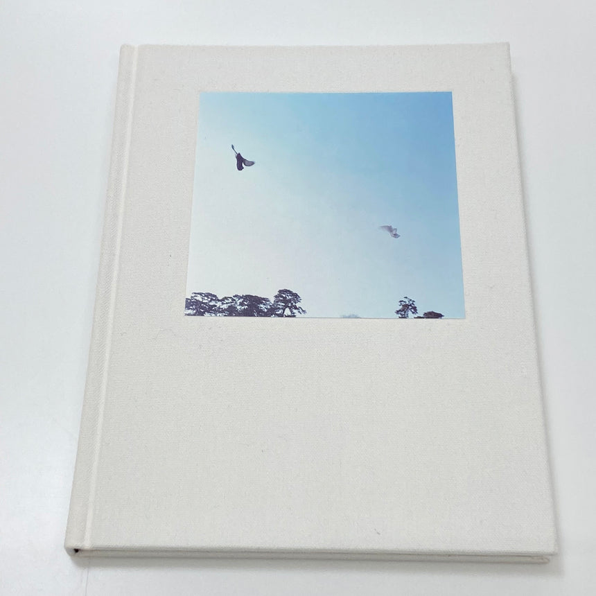 LIGHT and SHADOW<br />Rinko Kawauchi<br />(川内倫子)