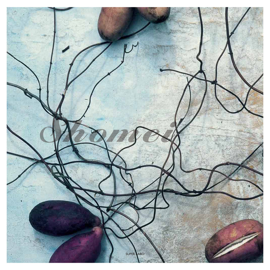 make<br />Shomei Tomatsu<br />(東松照明)