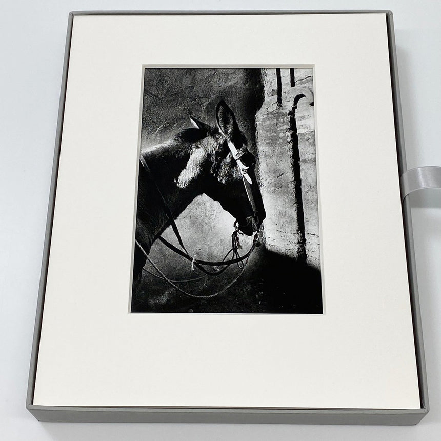 Marrakech Portfolio Box Set<br />Box #2<br />Daido Moriyama<br />(森山大道)