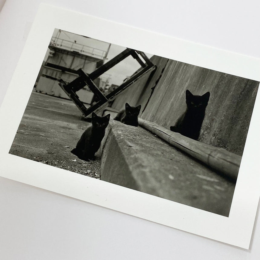 Umimachi / 海町<br />1st edition with print<br />Koji Onaka<br />(尾仲浩二)