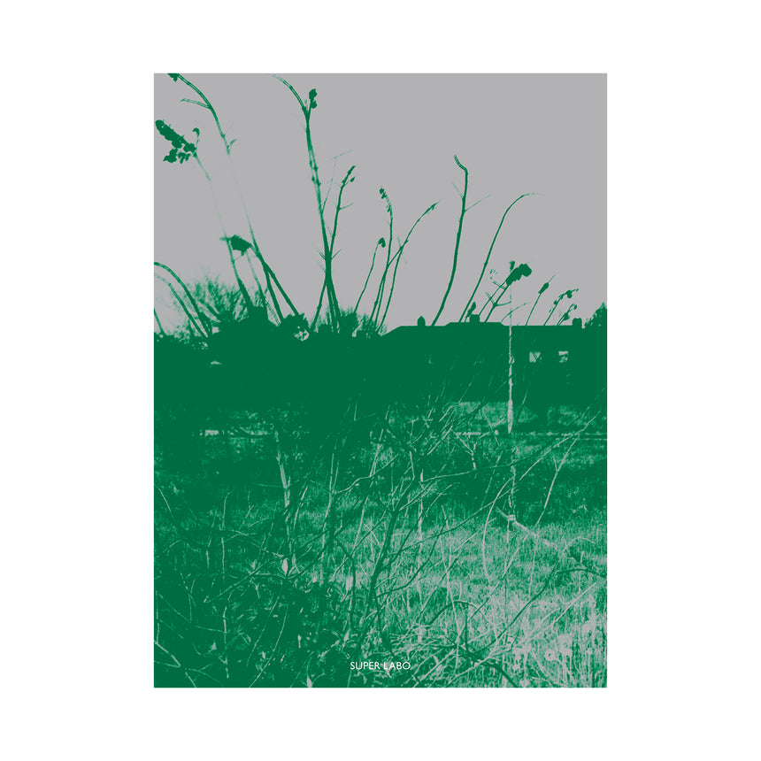 weeds of wallasey<br />Chris Shaw