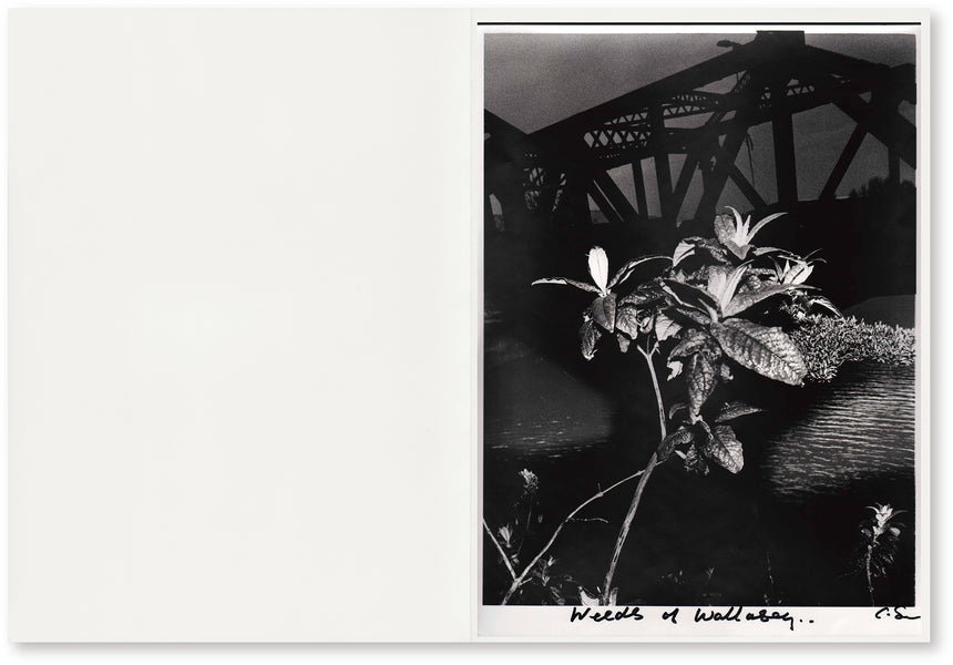 weeds of wallasey<br />Chris Shaw