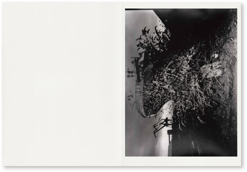 weeds of wallasey<br />Chris Shaw