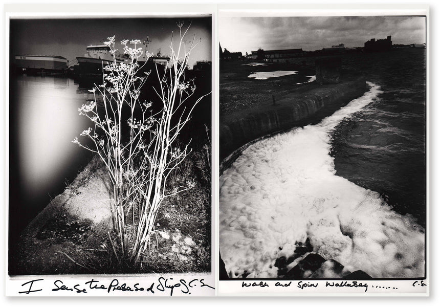 weeds of wallasey<br />Chris Shaw