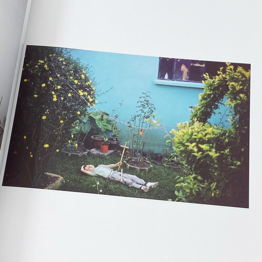 Wild Flowers<br />Joel Meyerowitz