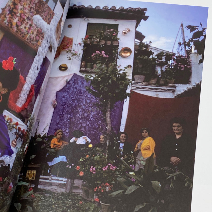 Wild Flowers<br />Joel Meyerowitz