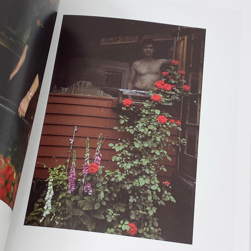 Wild Flowers<br />Joel Meyerowitz
