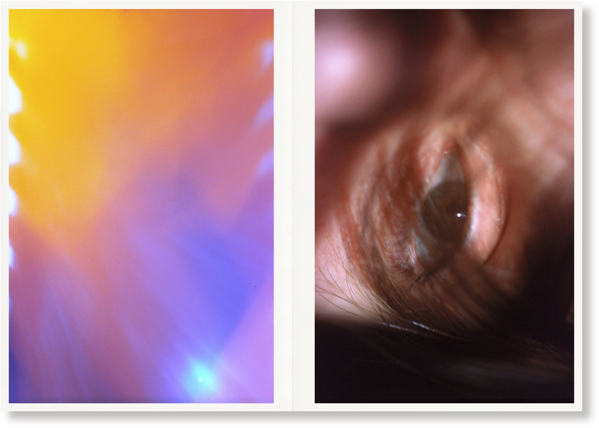 Eyes and Skies Chad Moore – SUPER LABO