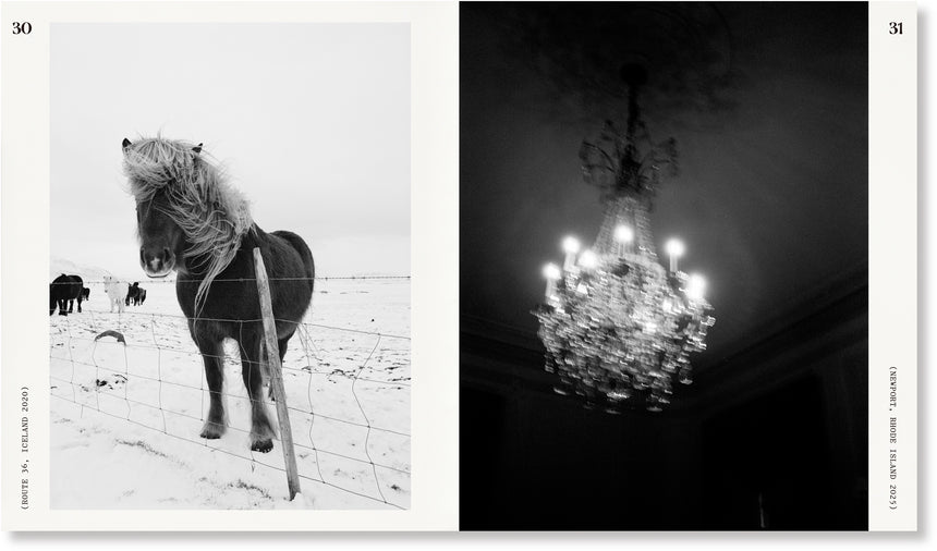 GUTS<br />Shaniqwa Jarvis