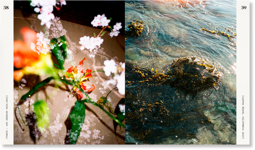 GUTS<br />Shaniqwa Jarvis