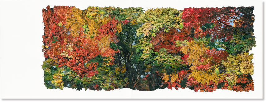 Thirty Cuts<br>Jim Goldberg