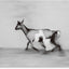 Upmost for the Highest<br>Jeremy Elkin
