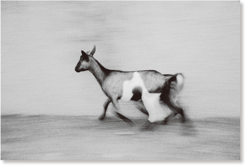 Upmost for the Highest<br>Jeremy Elkin