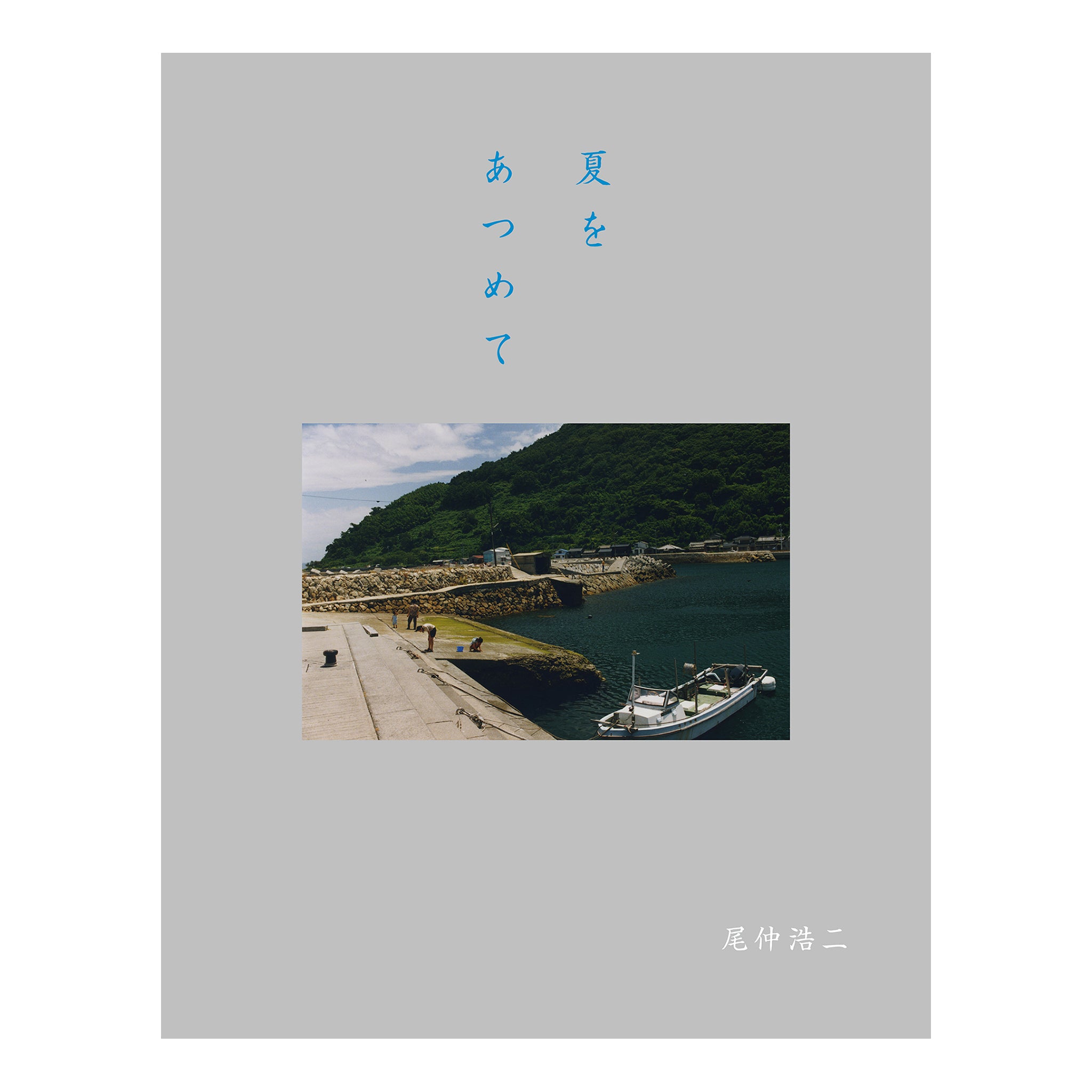 Collecting Summers 夏をあつめて Koji Onaka (尾仲浩二