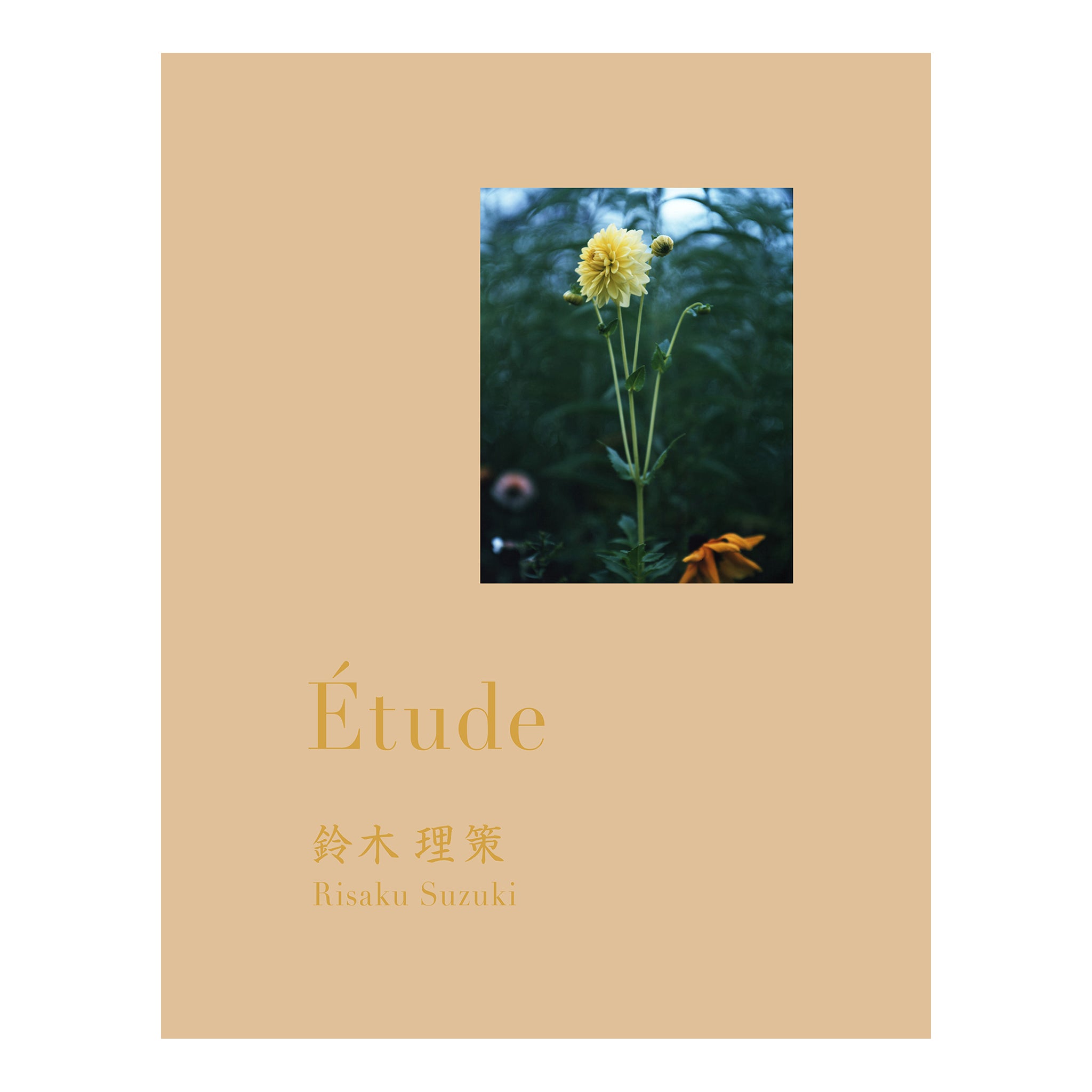 Etude_Cover1_1_web.jpg?v=