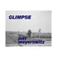 GLIMPSE<br />Joel Meyerowitz