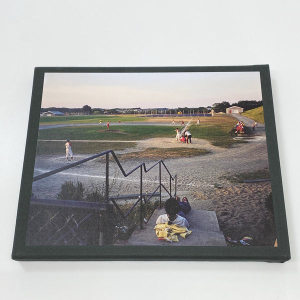 Joel Meyerowitz Between the Dog and the… Between the Dog and the Wolf (2nd edition) Joel Meyerowitz