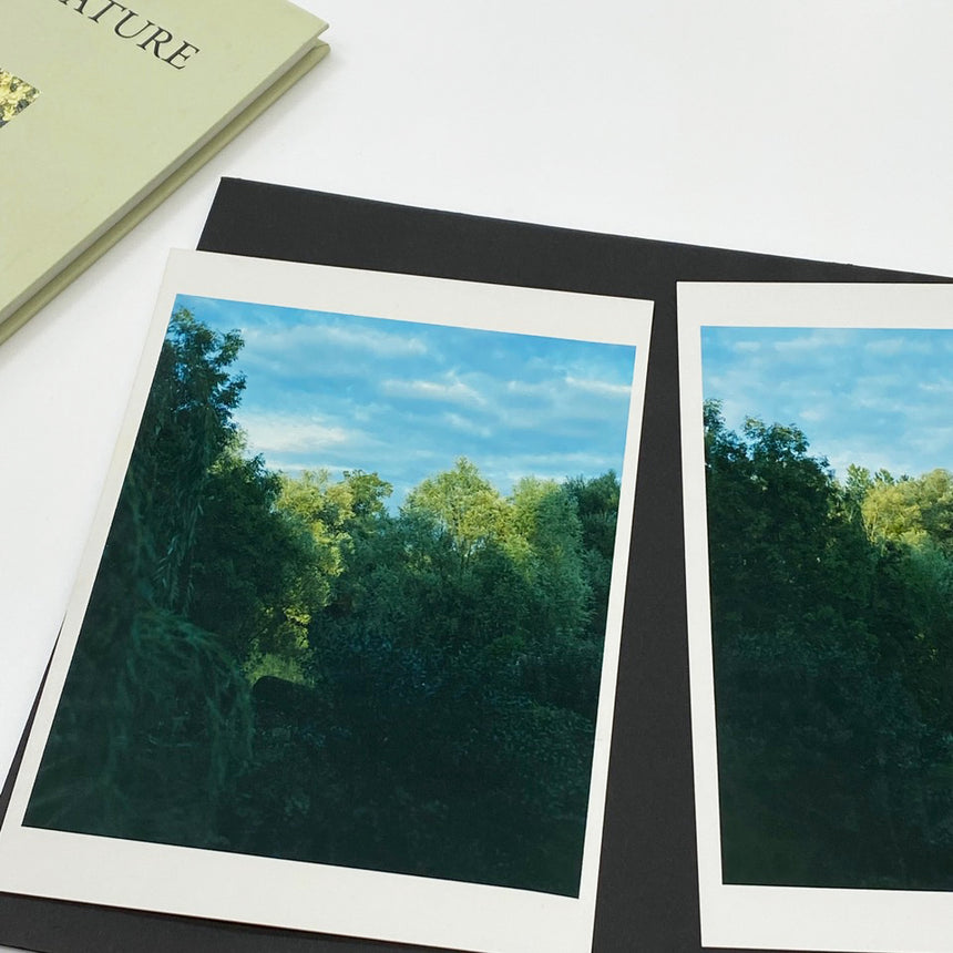 In Our Nature<br />Special Edition<br />Takashi Homma<br />(ホンマ タカシ)